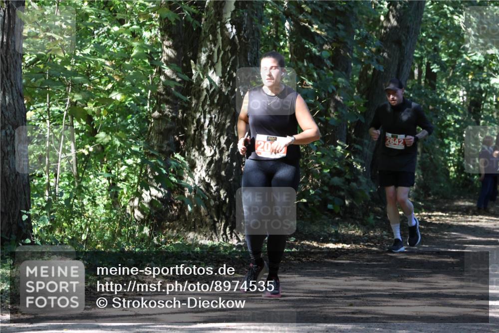 28.09.2025 - 33. Volkslauf durch das schöne Alstertal Strokosch-Dieckow http://msf.ph/oto/8974535 28.09.2025 12:48:31 Laufen 20, 2642 meine-sportfotos.de