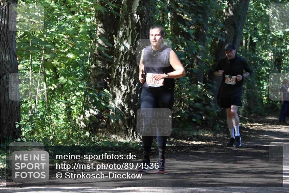 28.09.2025 - 33. Volkslauf durch das schöne Alstertal Strokosch-Dieckow http://msf.ph/oto/8974536 28.09.2025 12:48:31 Laufen 2642 meine-sportfotos.de