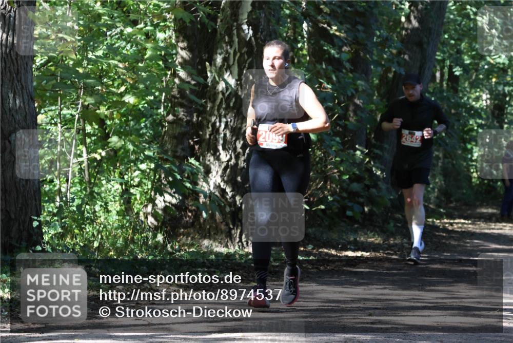 28.09.2025 - 33. Volkslauf durch das schöne Alstertal Strokosch-Dieckow http://msf.ph/oto/8974537 28.09.2025 12:48:32 Laufen 2099 meine-sportfotos.de