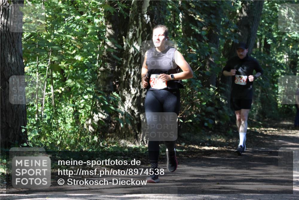 28.09.2025 - 33. Volkslauf durch das schöne Alstertal Strokosch-Dieckow http://msf.ph/oto/8974538 28.09.2025 12:48:32 Laufen 20, 2642 meine-sportfotos.de