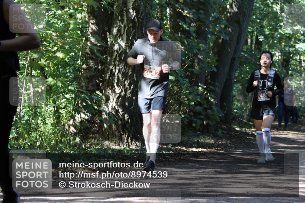 28.09.2025 - 33. Volkslauf durch das schöne Alstertal Strokosch-Dieckow http://msf.ph/oto/8974539 28.09.2025 12:48:34 Laufen 2642, 248 meine-sportfotos.de