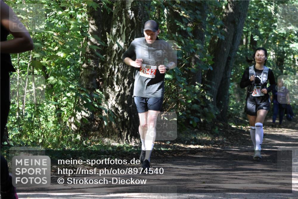 28.09.2025 - 33. Volkslauf durch das schöne Alstertal Strokosch-Dieckow http://msf.ph/oto/8974540 28.09.2025 12:48:34 Laufen 2642 meine-sportfotos.de