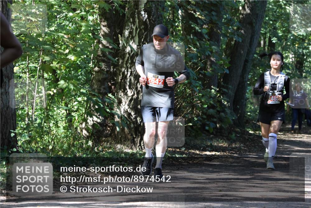 28.09.2025 - 33. Volkslauf durch das schöne Alstertal Strokosch-Dieckow http://msf.ph/oto/8974542 28.09.2025 12:48:34 Laufen 2642, 248 meine-sportfotos.de