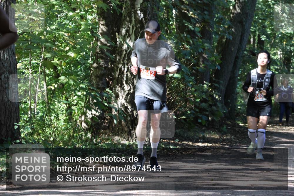 28.09.2025 - 33. Volkslauf durch das schöne Alstertal Strokosch-Dieckow http://msf.ph/oto/8974543 28.09.2025 12:48:34 Laufen 2642 meine-sportfotos.de