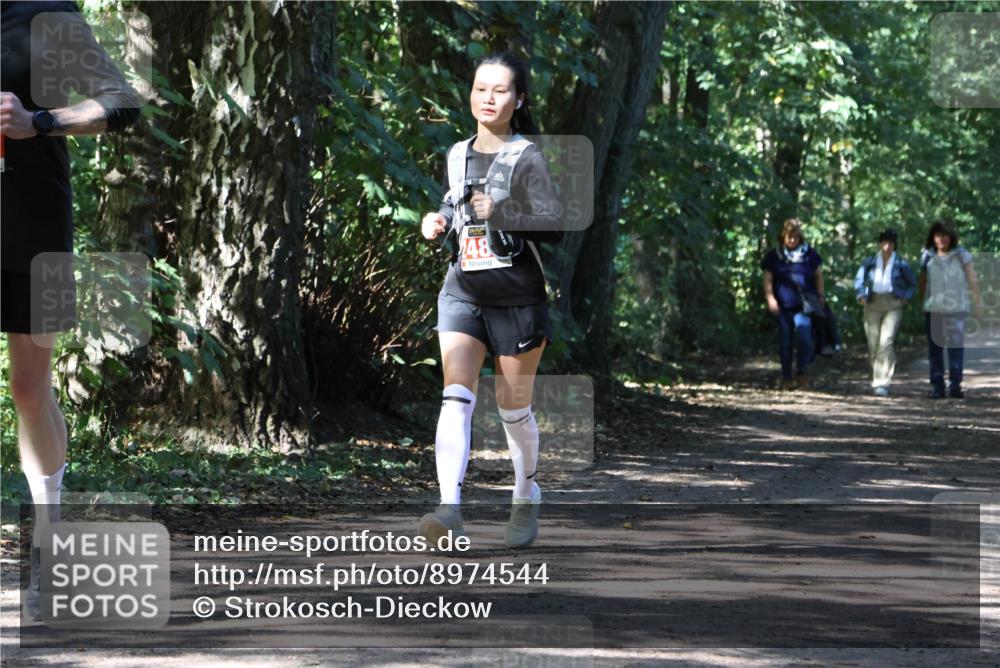 28.09.2025 - 33. Volkslauf durch das schöne Alstertal Strokosch-Dieckow http://msf.ph/oto/8974544 28.09.2025 12:48:35 Laufen 48 meine-sportfotos.de
