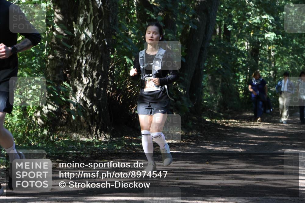 28.09.2025 - 33. Volkslauf durch das schöne Alstertal Strokosch-Dieckow http://msf.ph/oto/8974547 28.09.2025 12:48:36 Laufen  meine-sportfotos.de