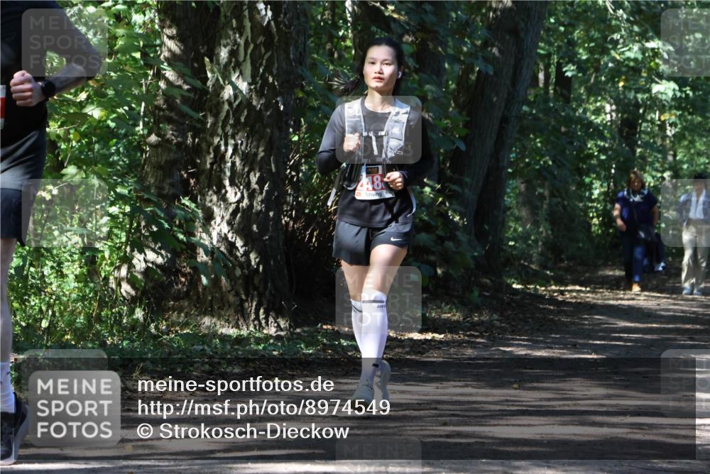 28.09.2025 - 33. Volkslauf durch das schöne Alstertal Strokosch-Dieckow http://msf.ph/oto/8974549 28.09.2025 12:48:36 Laufen 248 meine-sportfotos.de