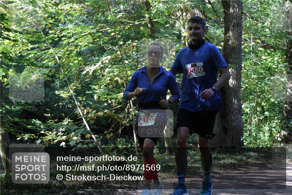 28.09.2025 - 33. Volkslauf durch das schöne Alstertal Strokosch-Dieckow http://msf.ph/oto/8974569 28.09.2025 12:49:18 Laufen 2102, 2580, 8 meine-sportfotos.de