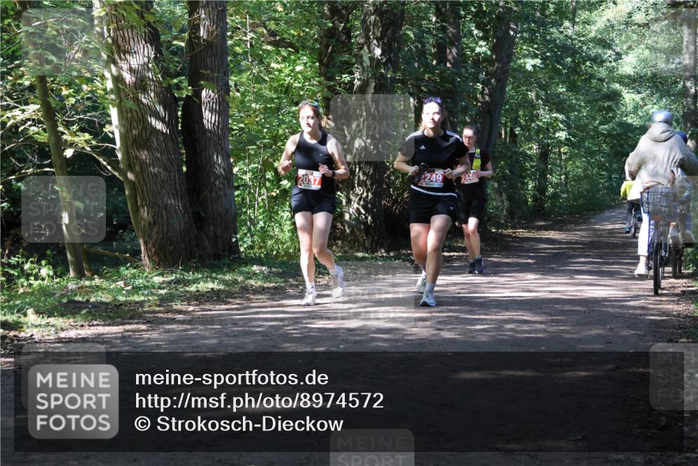 28.09.2025 - 33. Volkslauf durch das schöne Alstertal Strokosch-Dieckow http://msf.ph/oto/8974572 28.09.2025 12:49:32 Laufen 2037, 249, 244 meine-sportfotos.de