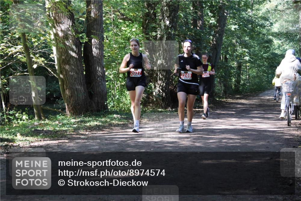 28.09.2025 - 33. Volkslauf durch das schöne Alstertal Strokosch-Dieckow http://msf.ph/oto/8974574 28.09.2025 12:49:33 Laufen 2037, 2249, 2440 meine-sportfotos.de