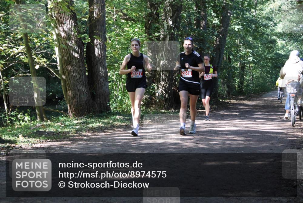 28.09.2025 - 33. Volkslauf durch das schöne Alstertal Strokosch-Dieckow http://msf.ph/oto/8974575 28.09.2025 12:49:33 Laufen 2037, 2249, 2446 meine-sportfotos.de