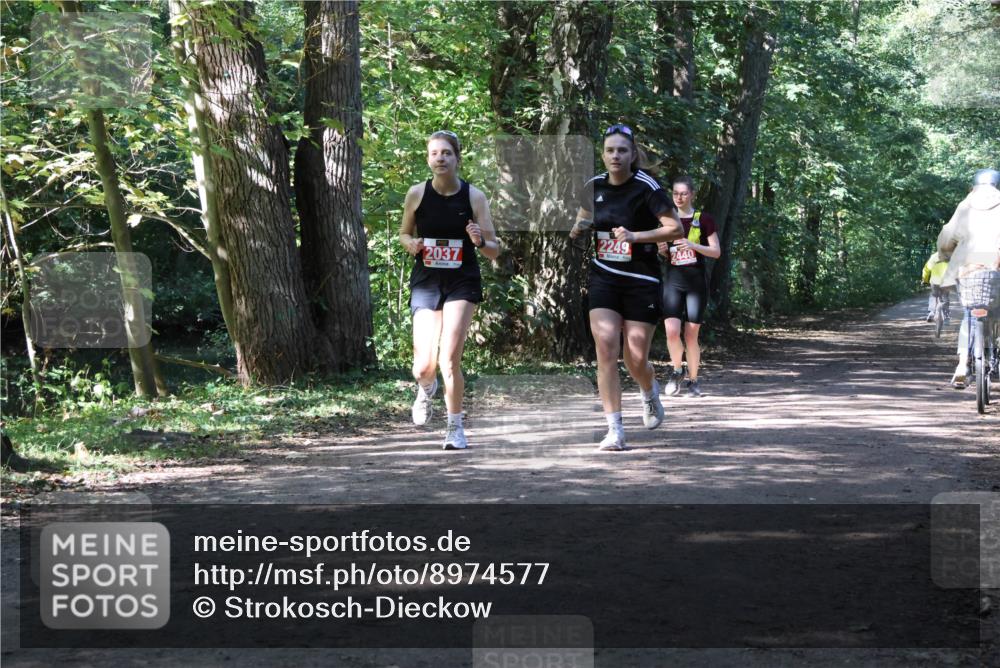 28.09.2025 - 33. Volkslauf durch das schöne Alstertal Strokosch-Dieckow http://msf.ph/oto/8974577 28.09.2025 12:49:33 Laufen 2037, 2249, 2440 meine-sportfotos.de