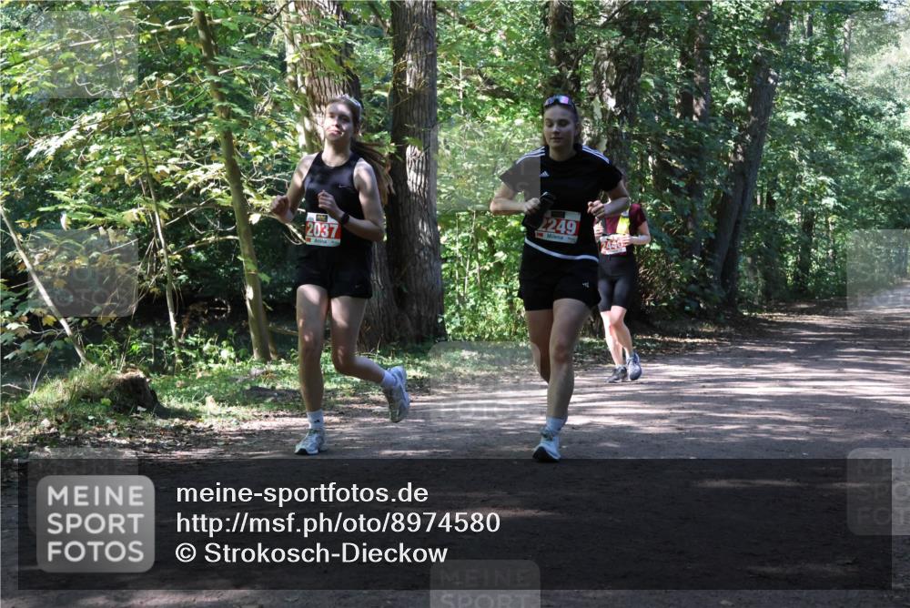 28.09.2025 - 33. Volkslauf durch das schöne Alstertal Strokosch-Dieckow http://msf.ph/oto/8974580 28.09.2025 12:49:34 Laufen 2037, 2249 meine-sportfotos.de