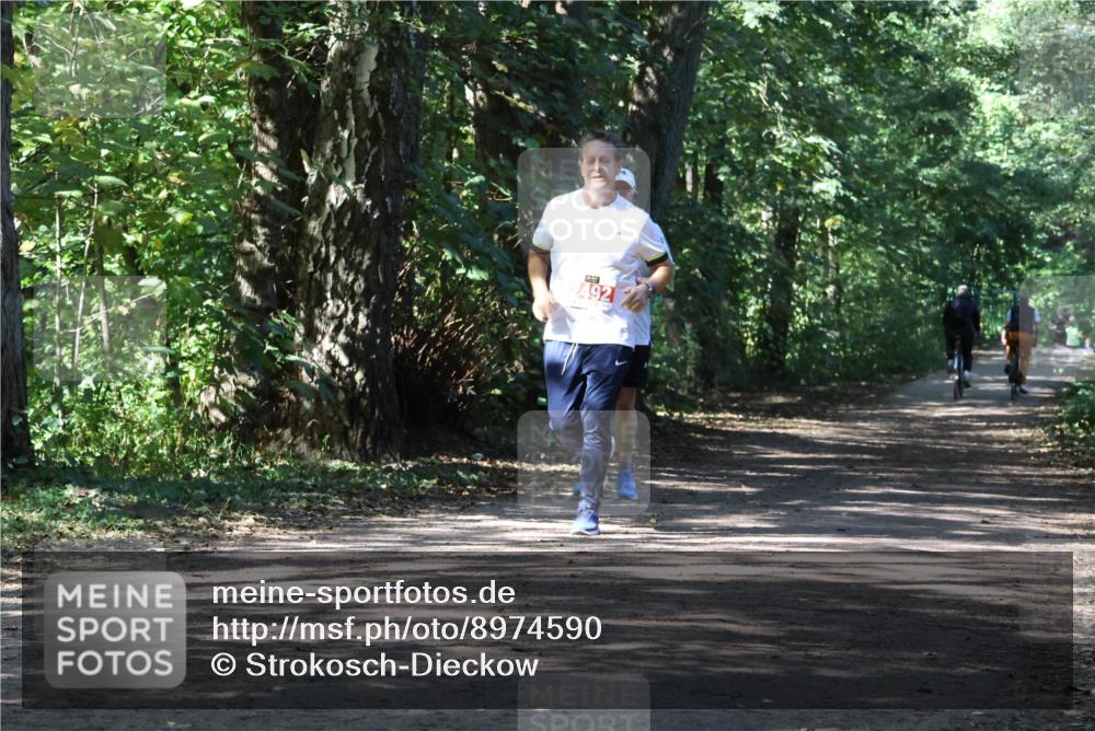 28.09.2025 - 33. Volkslauf durch das schöne Alstertal Strokosch-Dieckow http://msf.ph/oto/8974590 28.09.2025 12:50:06 Laufen 492 meine-sportfotos.de