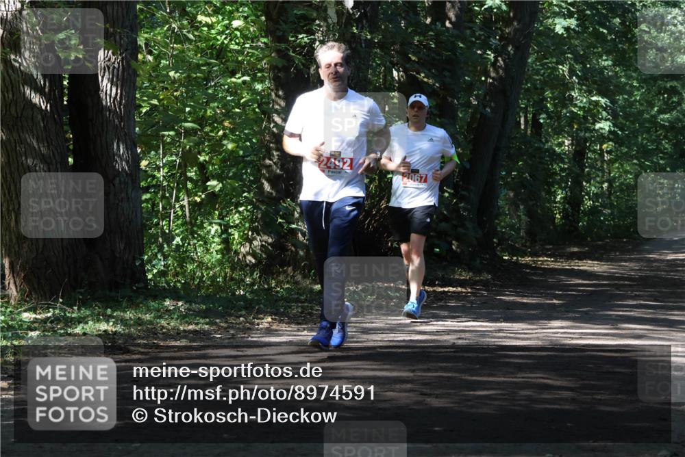 28.09.2025 - 33. Volkslauf durch das schöne Alstertal Strokosch-Dieckow http://msf.ph/oto/8974591 28.09.2025 12:50:07 Laufen 2492, 2067 meine-sportfotos.de