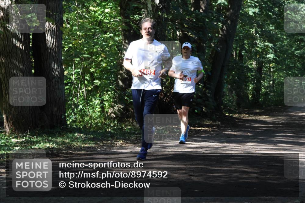 28.09.2025 - 33. Volkslauf durch das schöne Alstertal Strokosch-Dieckow http://msf.ph/oto/8974592 28.09.2025 12:50:07 Laufen 4927 meine-sportfotos.de