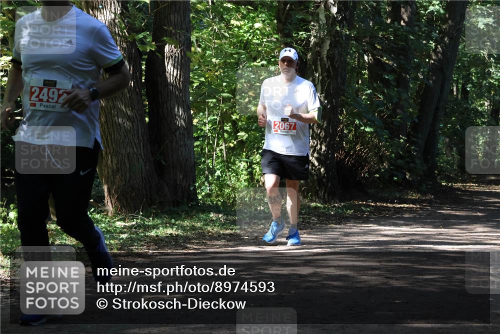 28.09.2025 - 33. Volkslauf durch das schöne Alstertal Strokosch-Dieckow http://msf.ph/oto/8974593 28.09.2025 12:50:09 Laufen 2492, 2067 meine-sportfotos.de