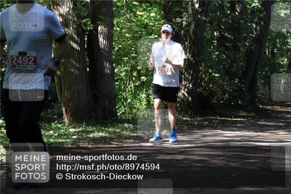 28.09.2025 - 33. Volkslauf durch das schöne Alstertal Strokosch-Dieckow http://msf.ph/oto/8974594 28.09.2025 12:50:09 Laufen 2492, 3, 2067 meine-sportfotos.de