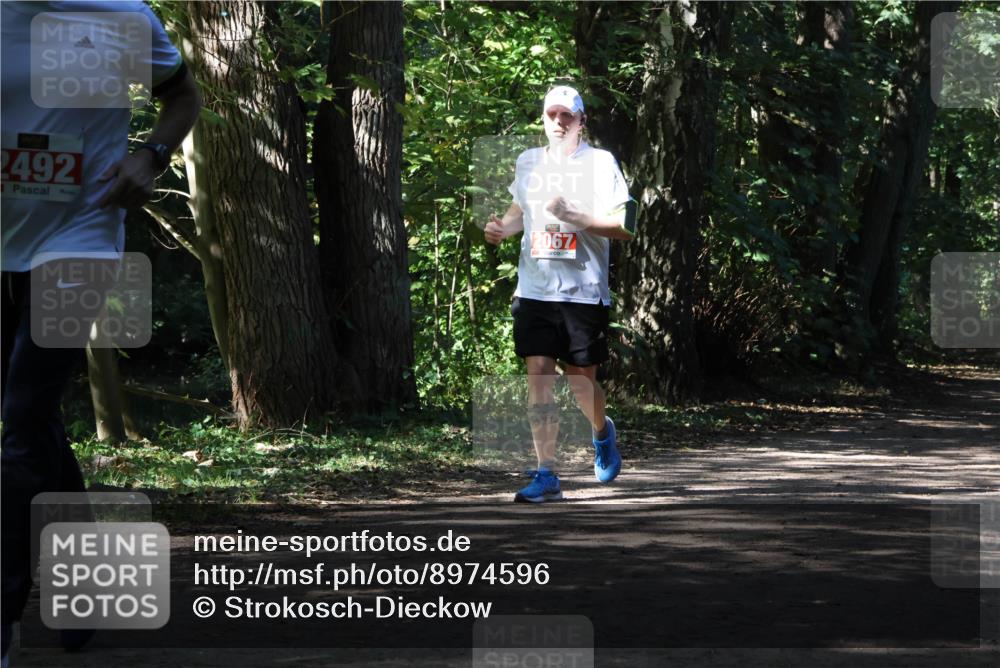 28.09.2025 - 33. Volkslauf durch das schöne Alstertal Strokosch-Dieckow http://msf.ph/oto/8974596 28.09.2025 12:50:09 Laufen 2492, 2067 meine-sportfotos.de
