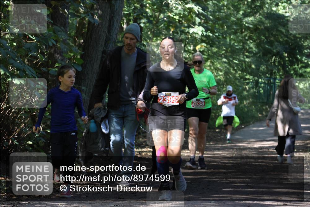 28.09.2025 - 33. Volkslauf durch das schöne Alstertal Strokosch-Dieckow http://msf.ph/oto/8974599 28.09.2025 12:50:40 Laufen 2399, 2538 meine-sportfotos.de