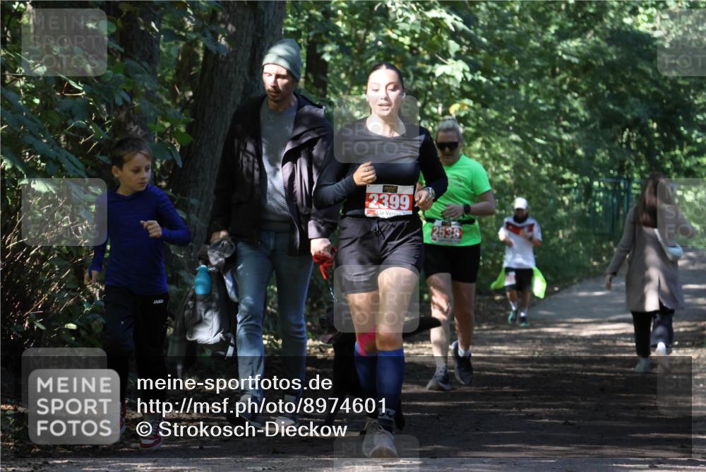 28.09.2025 - 33. Volkslauf durch das schöne Alstertal Strokosch-Dieckow http://msf.ph/oto/8974601 28.09.2025 12:50:40 Laufen 2399, 2538 meine-sportfotos.de