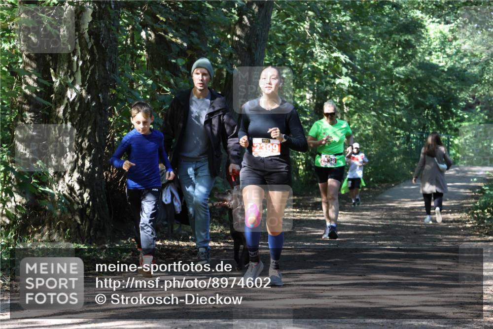 28.09.2025 - 33. Volkslauf durch das schöne Alstertal Strokosch-Dieckow http://msf.ph/oto/8974602 28.09.2025 12:50:41 Laufen 2399 meine-sportfotos.de