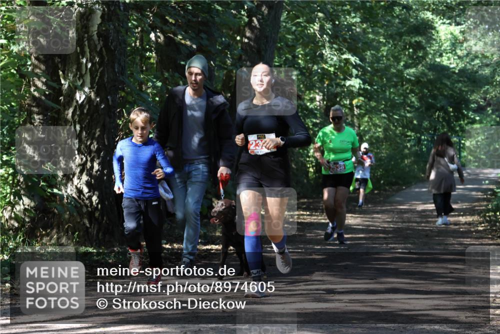 28.09.2025 - 33. Volkslauf durch das schöne Alstertal Strokosch-Dieckow http://msf.ph/oto/8974605 28.09.2025 12:50:41 Laufen 23 meine-sportfotos.de