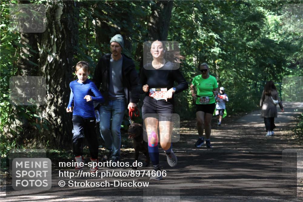 28.09.2025 - 33. Volkslauf durch das schöne Alstertal Strokosch-Dieckow http://msf.ph/oto/8974606 28.09.2025 12:50:42 Laufen 2399 meine-sportfotos.de
