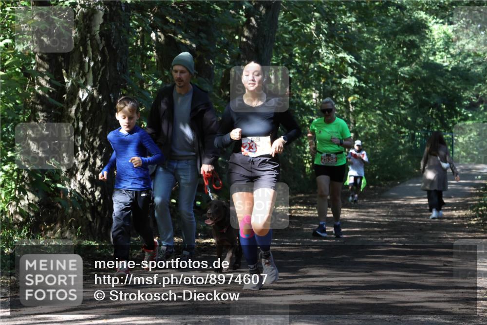 28.09.2025 - 33. Volkslauf durch das schöne Alstertal Strokosch-Dieckow http://msf.ph/oto/8974607 28.09.2025 12:50:42 Laufen 23, 2538 meine-sportfotos.de