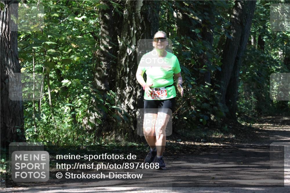 28.09.2025 - 33. Volkslauf durch das schöne Alstertal Strokosch-Dieckow http://msf.ph/oto/8974608 28.09.2025 12:50:46 Laufen 2538 meine-sportfotos.de
