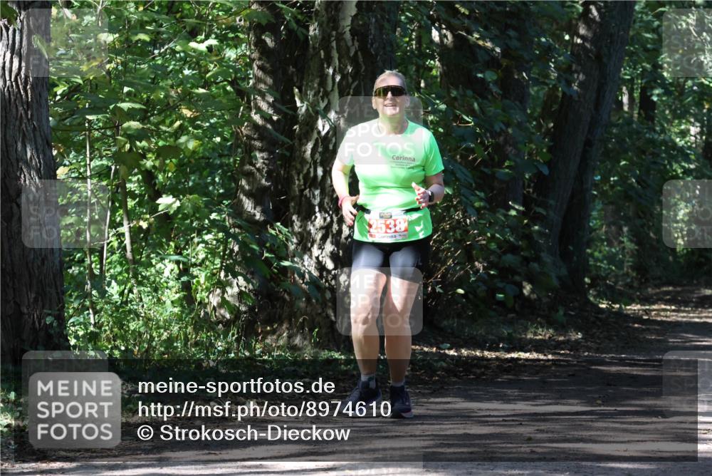 28.09.2025 - 33. Volkslauf durch das schöne Alstertal Strokosch-Dieckow http://msf.ph/oto/8974610 28.09.2025 12:50:46 Laufen 2538 meine-sportfotos.de