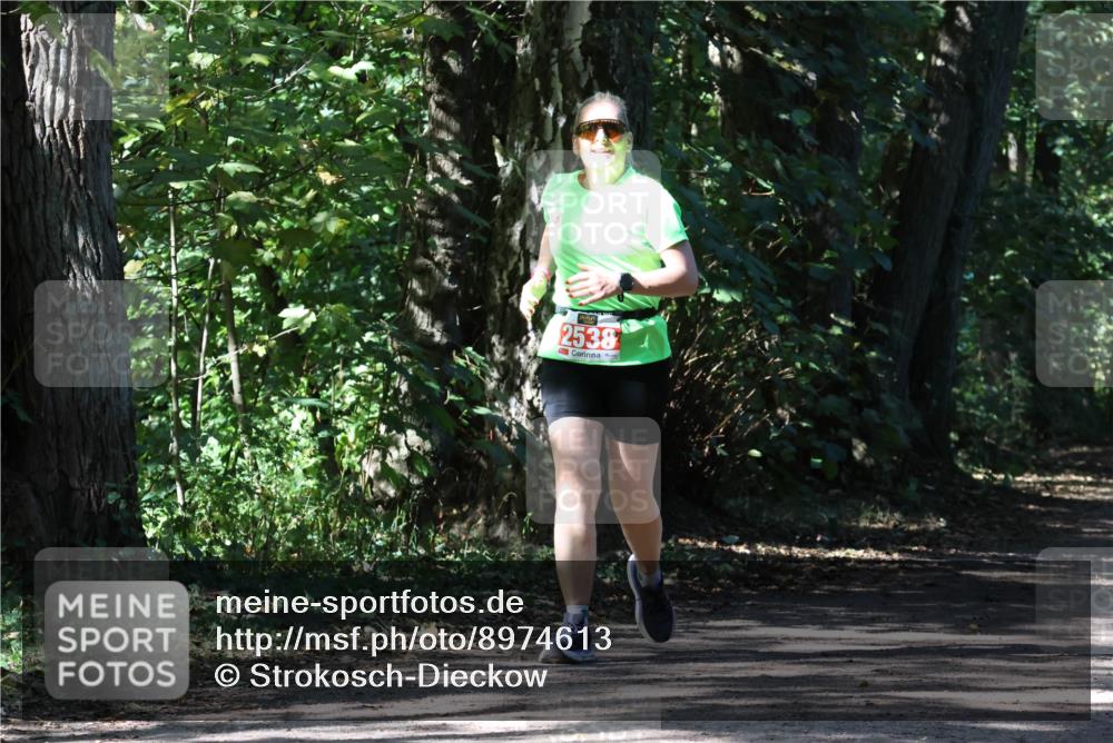28.09.2025 - 33. Volkslauf durch das schöne Alstertal Strokosch-Dieckow http://msf.ph/oto/8974613 28.09.2025 12:50:46 Laufen 2538 meine-sportfotos.de