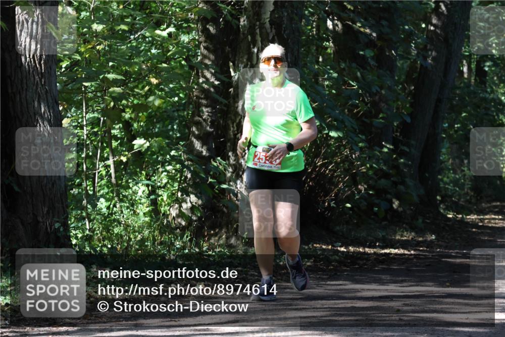 28.09.2025 - 33. Volkslauf durch das schöne Alstertal Strokosch-Dieckow http://msf.ph/oto/8974614 28.09.2025 12:50:46 Laufen 25 meine-sportfotos.de