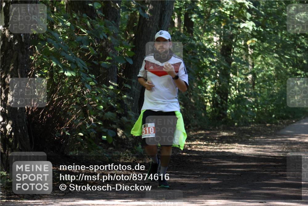 28.09.2025 - 33. Volkslauf durch das schöne Alstertal Strokosch-Dieckow http://msf.ph/oto/8974616 28.09.2025 12:50:53 Laufen 510 meine-sportfotos.de