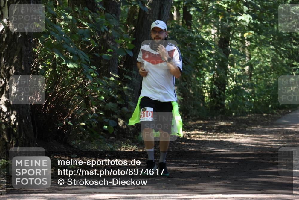 28.09.2025 - 33. Volkslauf durch das schöne Alstertal Strokosch-Dieckow http://msf.ph/oto/8974617 28.09.2025 12:50:53 Laufen 510 meine-sportfotos.de