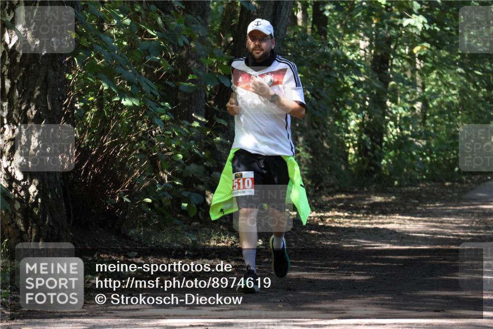 28.09.2025 - 33. Volkslauf durch das schöne Alstertal Strokosch-Dieckow http://msf.ph/oto/8974619 28.09.2025 12:50:53 Laufen 510 meine-sportfotos.de