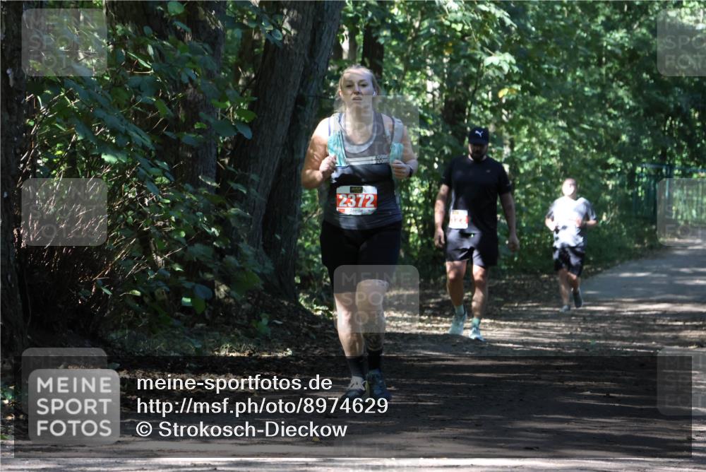 28.09.2025 - 33. Volkslauf durch das schöne Alstertal Strokosch-Dieckow http://msf.ph/oto/8974629 28.09.2025 12:51:48 Laufen 2372 meine-sportfotos.de