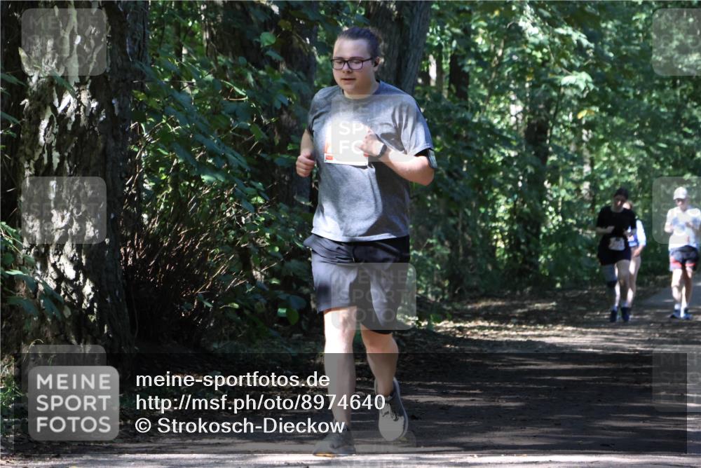 28.09.2025 - 33. Volkslauf durch das schöne Alstertal Strokosch-Dieckow http://msf.ph/oto/8974640 28.09.2025 12:52:04 Laufen  meine-sportfotos.de