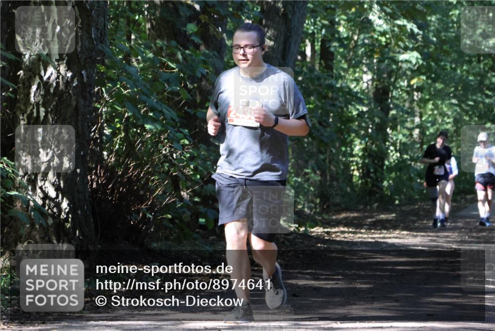 28.09.2025 - 33. Volkslauf durch das schöne Alstertal Strokosch-Dieckow http://msf.ph/oto/8974641 28.09.2025 12:52:04 Laufen 243 meine-sportfotos.de