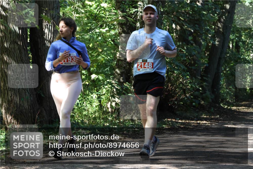 28.09.2025 - 33. Volkslauf durch das schöne Alstertal Strokosch-Dieckow http://msf.ph/oto/8974656 28.09.2025 12:52:24 Laufen 193, 2148 meine-sportfotos.de