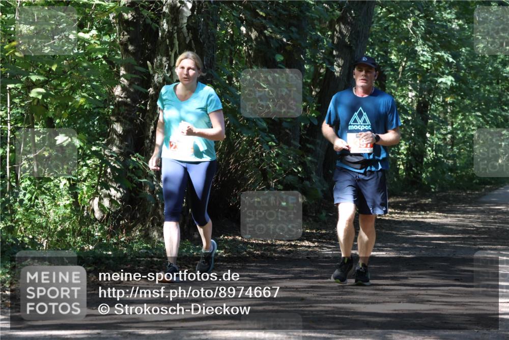 28.09.2025 - 33. Volkslauf durch das schöne Alstertal Strokosch-Dieckow http://msf.ph/oto/8974667 28.09.2025 12:53:04 Laufen  meine-sportfotos.de