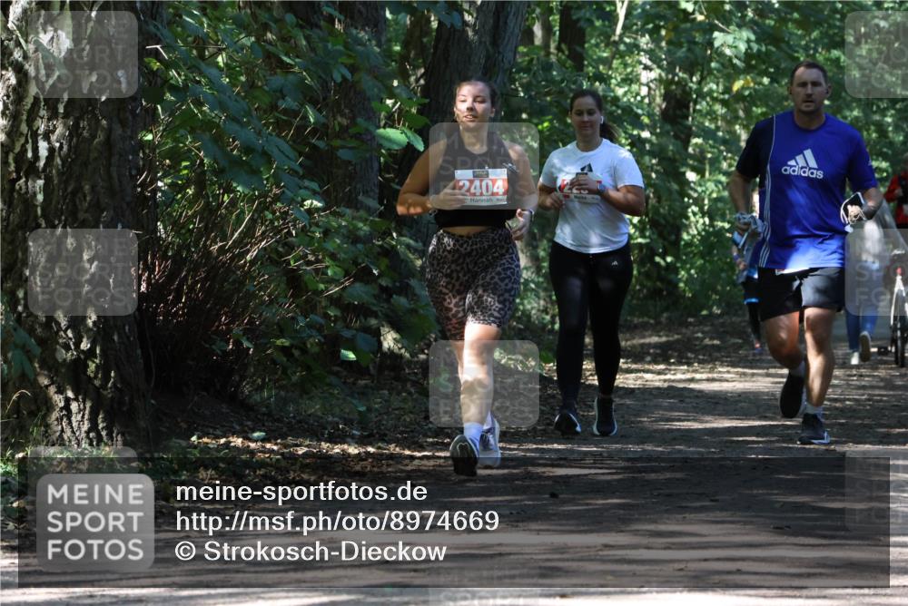 28.09.2025 - 33. Volkslauf durch das schöne Alstertal Strokosch-Dieckow http://msf.ph/oto/8974669 28.09.2025 12:55:50 Laufen 2404 meine-sportfotos.de