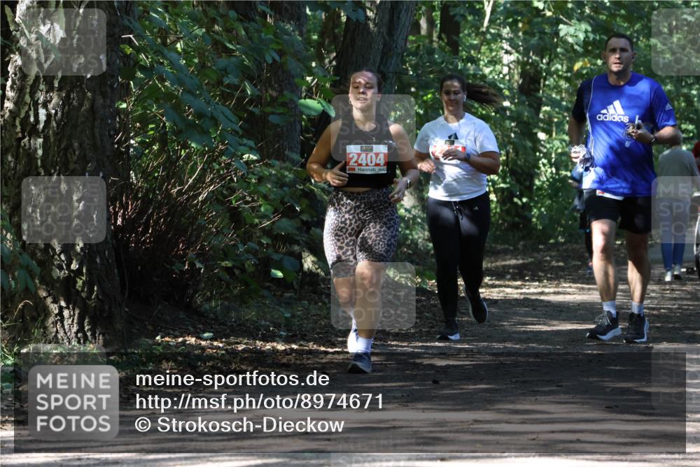 28.09.2025 - 33. Volkslauf durch das schöne Alstertal Strokosch-Dieckow http://msf.ph/oto/8974671 28.09.2025 12:55:50 Laufen 2404 meine-sportfotos.de