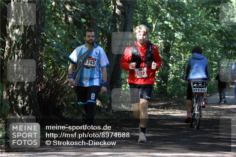28.09.2025 - 33. Volkslauf durch das schöne Alstertal Strokosch-Dieckow http://msf.ph/oto/8974688 28.09.2025 12:56:10 Laufen 1743, 2073, 8 meine-sportfotos.de