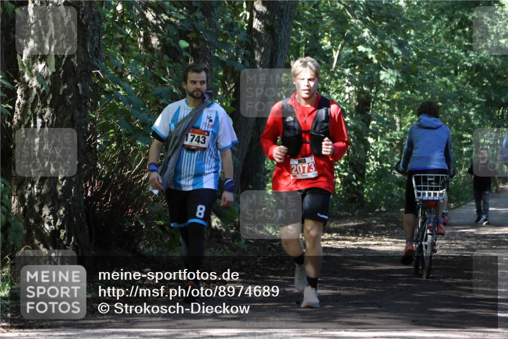 28.09.2025 - 33. Volkslauf durch das schöne Alstertal Strokosch-Dieckow http://msf.ph/oto/8974689 28.09.2025 12:56:10 Laufen 19, 1743, 2073, 8 meine-sportfotos.de