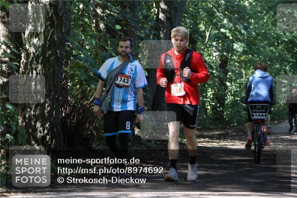 28.09.2025 - 33. Volkslauf durch das schöne Alstertal Strokosch-Dieckow http://msf.ph/oto/8974692 28.09.2025 12:56:10 Laufen 1743, 2073, 8 meine-sportfotos.de
