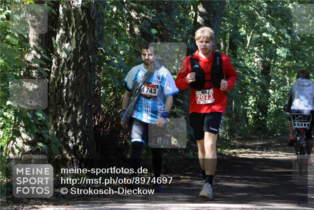 28.09.2025 - 33. Volkslauf durch das schöne Alstertal Strokosch-Dieckow http://msf.ph/oto/8974697 28.09.2025 12:56:11 Laufen 1743, 2073 meine-sportfotos.de