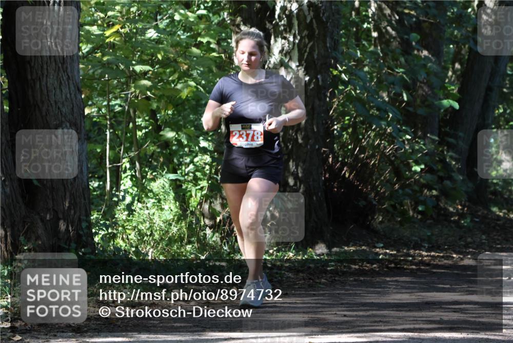 28.09.2025 - 33. Volkslauf durch das schöne Alstertal Strokosch-Dieckow http://msf.ph/oto/8974732 28.09.2025 12:58:49 Laufen 2378 meine-sportfotos.de