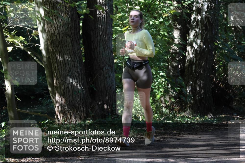 28.09.2025 - 33. Volkslauf durch das schöne Alstertal Strokosch-Dieckow http://msf.ph/oto/8974739 28.09.2025 12:58:58 Laufen  meine-sportfotos.de