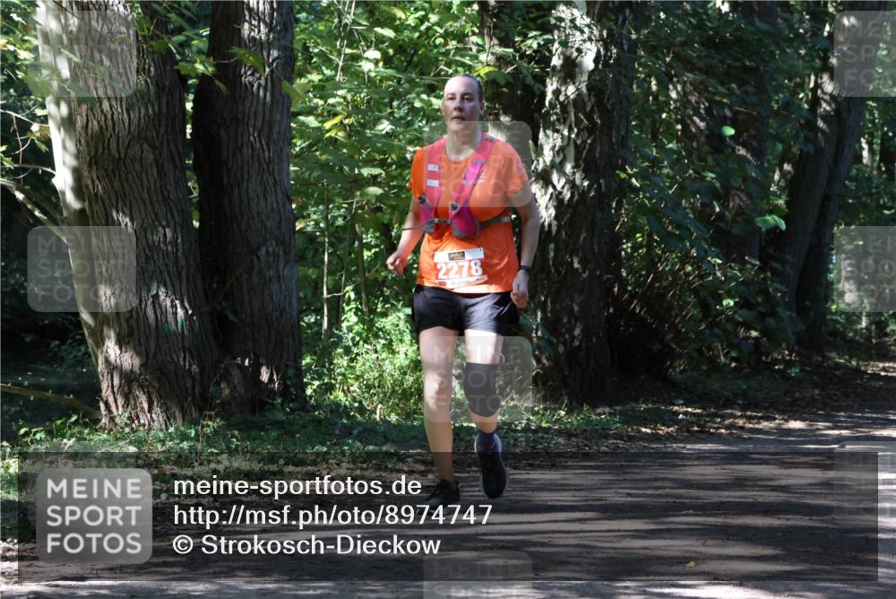 28.09.2025 - 33. Volkslauf durch das schöne Alstertal Strokosch-Dieckow http://msf.ph/oto/8974747 28.09.2025 12:59:36 Laufen 2278 meine-sportfotos.de